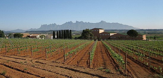 Penedes_Landschaft.jpg