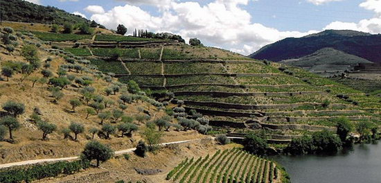 Ribeira_Sacra_Landschaft.jpg